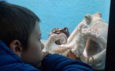 Učenici posebnog razrednog odjela posjetili Akvarij