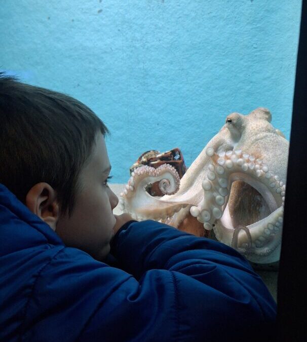 Učenici posebnog razrednog odjela posjetili Akvarij